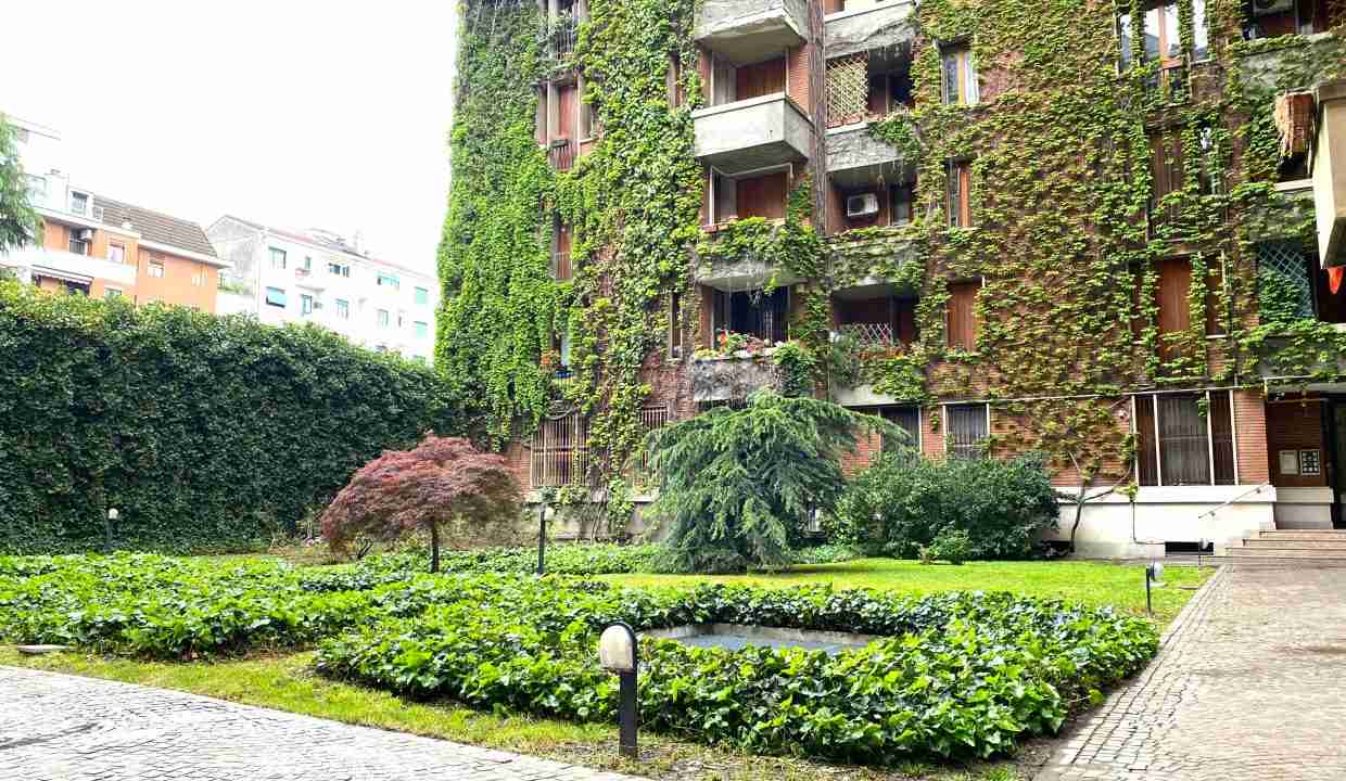 image00038