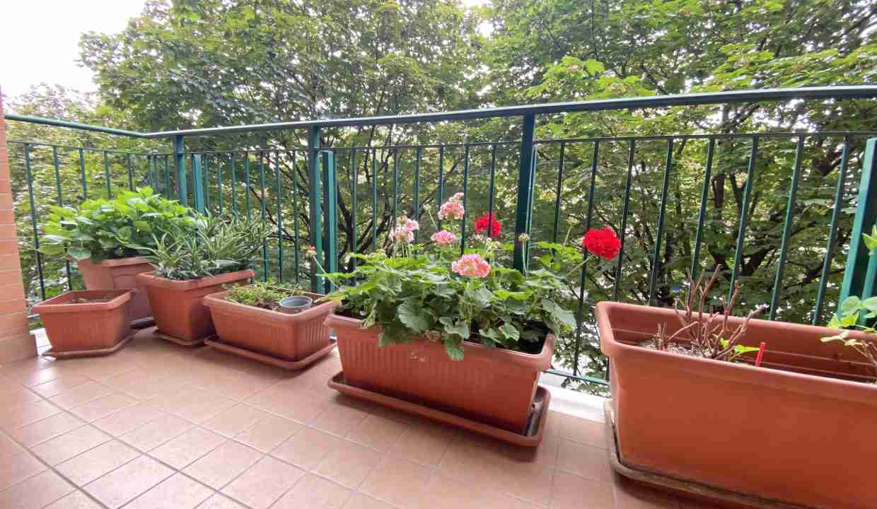 image00056