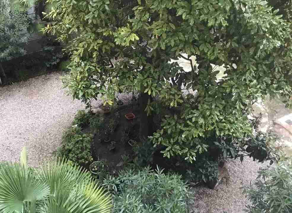 affitto-locazione-quadrilocale-via-bronzino-milano-esterni-giardino-condominiale